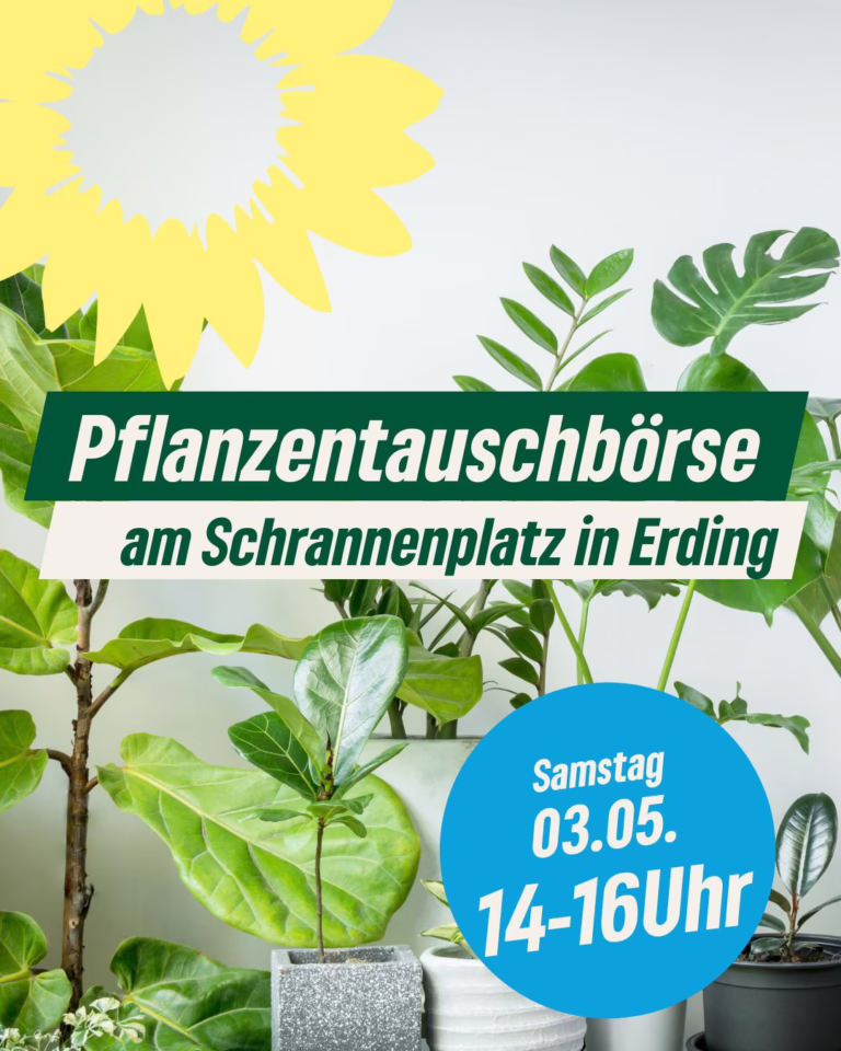 Pflanzentauschbörse am Schrannenplatz