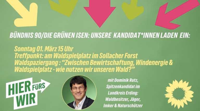Zwischen Bewirtschaftung, Windenergie & Waldspaziergang – wie nutzen wir unseren Wald?
