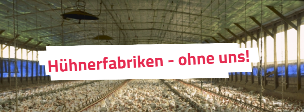 Hühnerfabriken - Ohne uns!