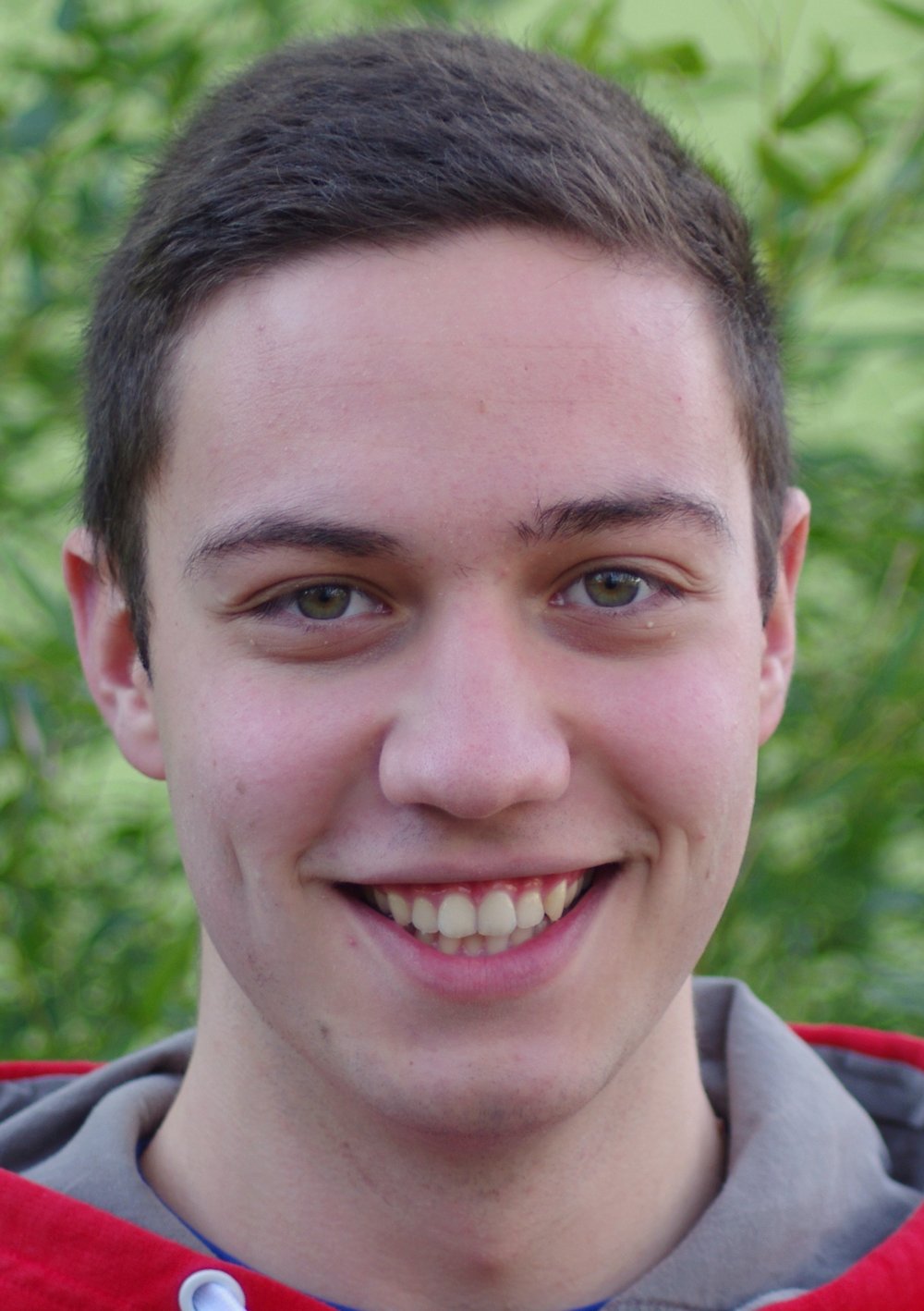 Bewerbungsrede von Christoph Sticha für das Amt des Kreisvorstandssprechers
