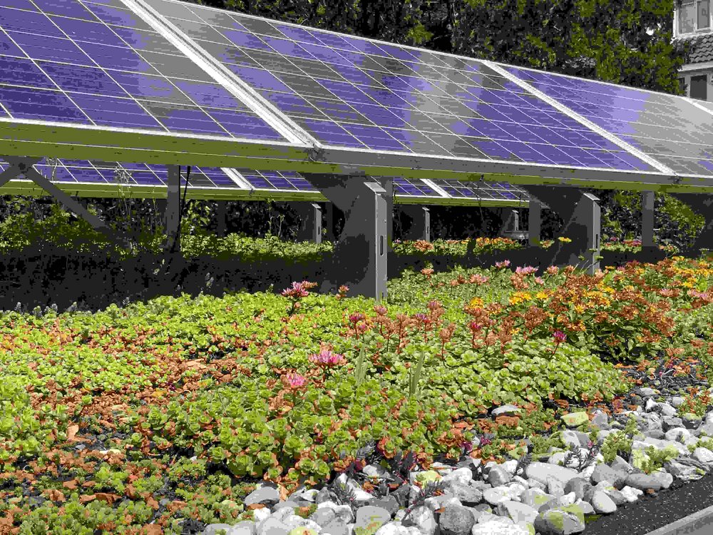 Gründach und Solarnutzung – eine Kombination mit Mehrwert