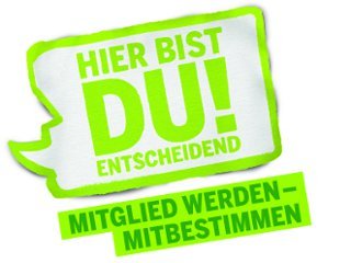 Grüner Mitgliederentscheid am 08.06.