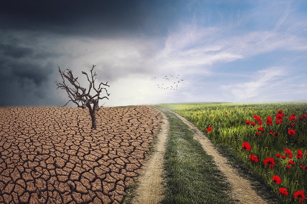 Antrag zum Klimaschutzmanagement der Stadt Erding