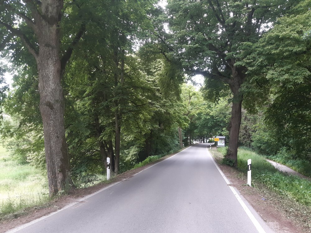 Stellungnahme des OV Wartenberg - Nachpflanzung Lindenallee