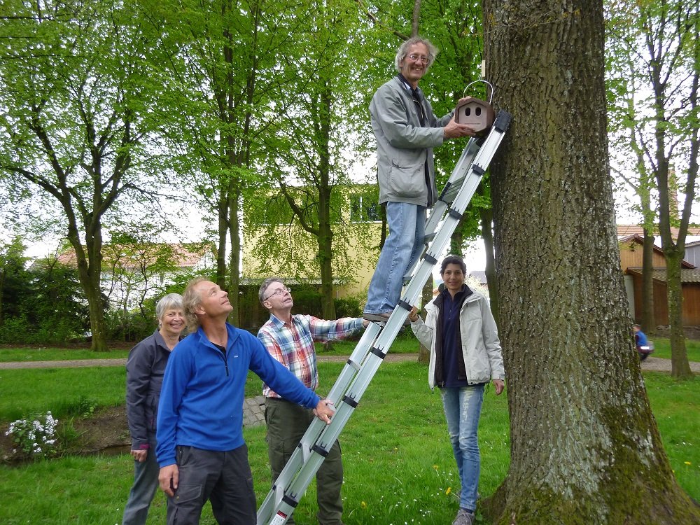 Singvögel und Fledermäuse: in Dorfen könnt ihr bequem nisten!