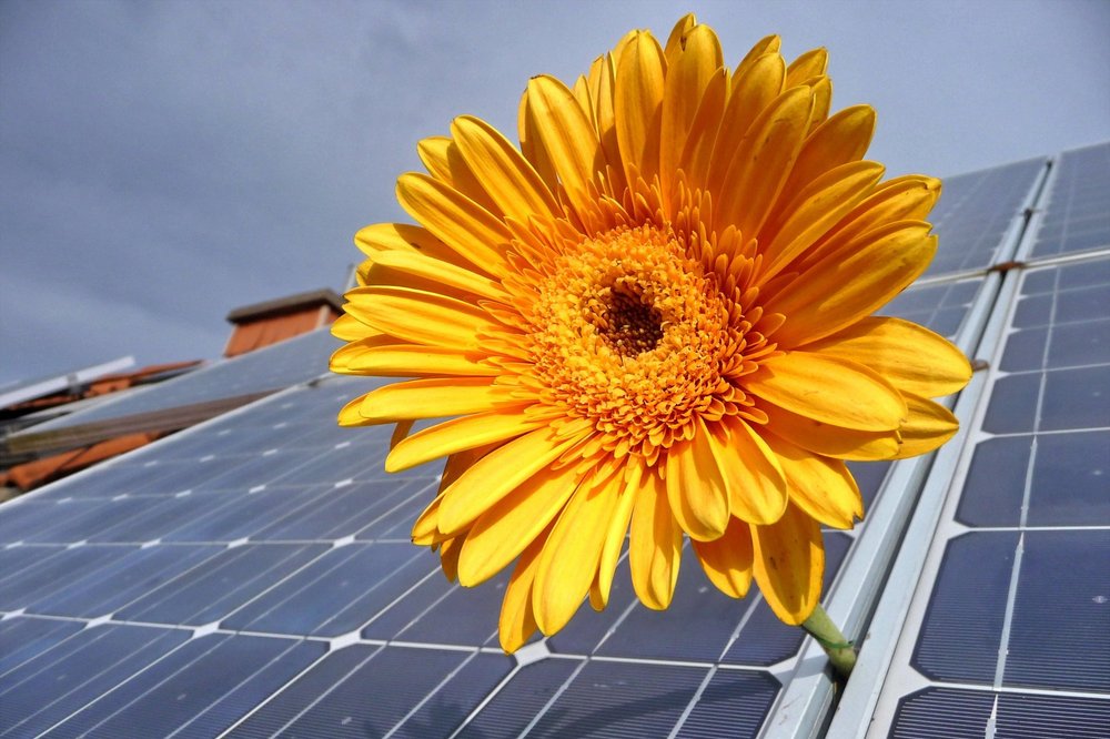 Installation und Betrieb von Solaranlagen auf allen geeigneten kommunalen Dächern in Erding