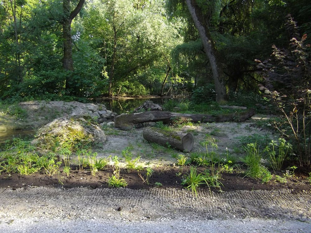 Grüner Rundgang durch den Erdinger Stadtpark