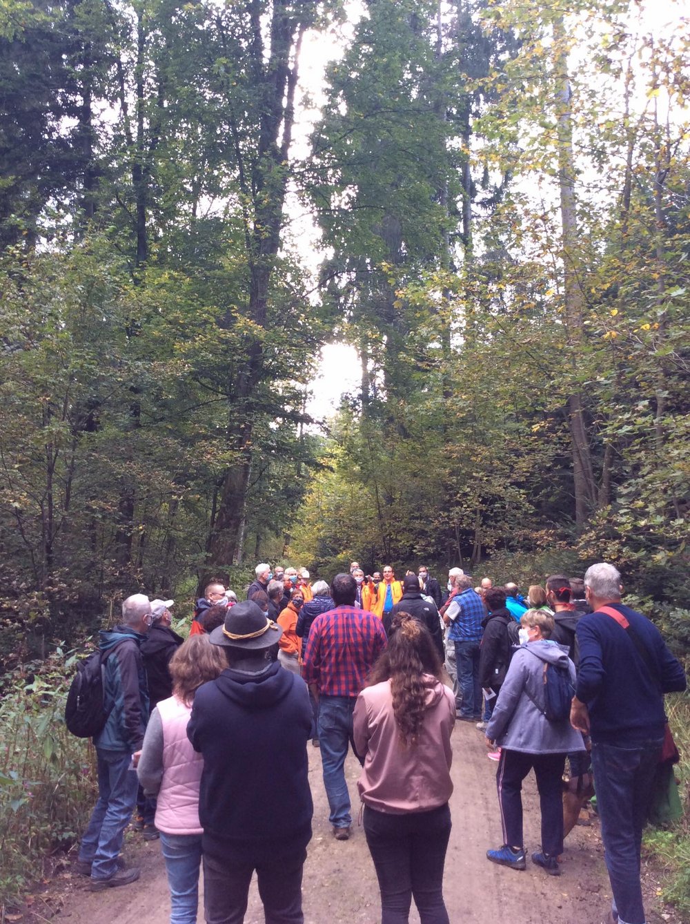 Waldwanderung: Wald mit Zukunft!