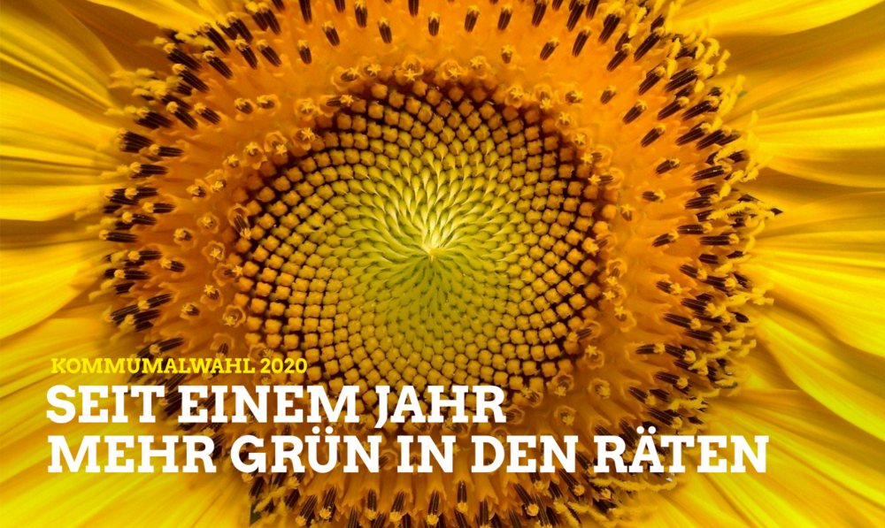 Rückblick